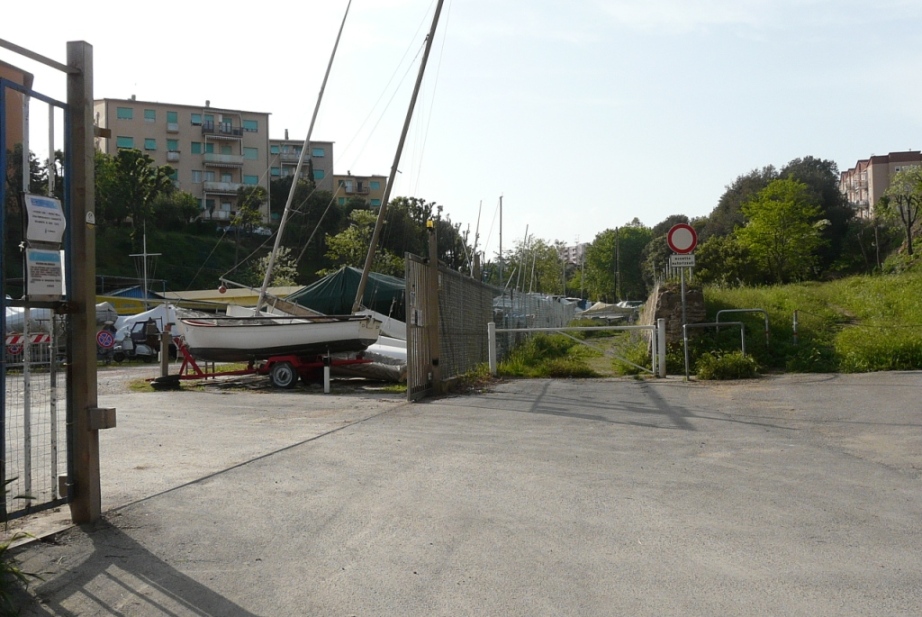 Rio Salivoli (Piombino) - rospi smeraldini in citt!